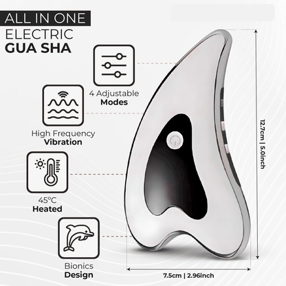 4 in 1 Electric Facial Massager